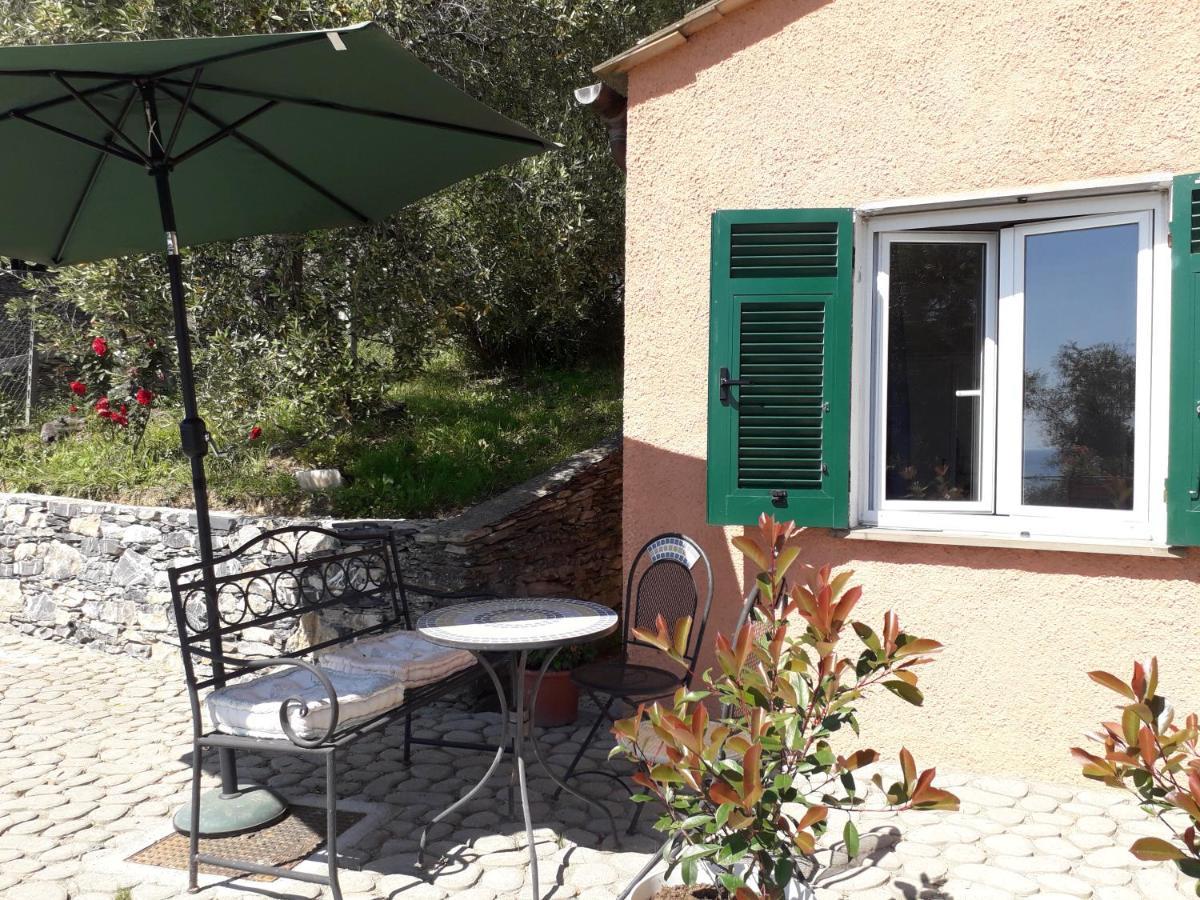 Tigullio Vacations Panoramica Apartments Lavagna Εξωτερικό φωτογραφία