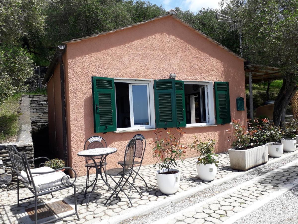 Tigullio Vacations Panoramica Apartments Lavagna Εξωτερικό φωτογραφία