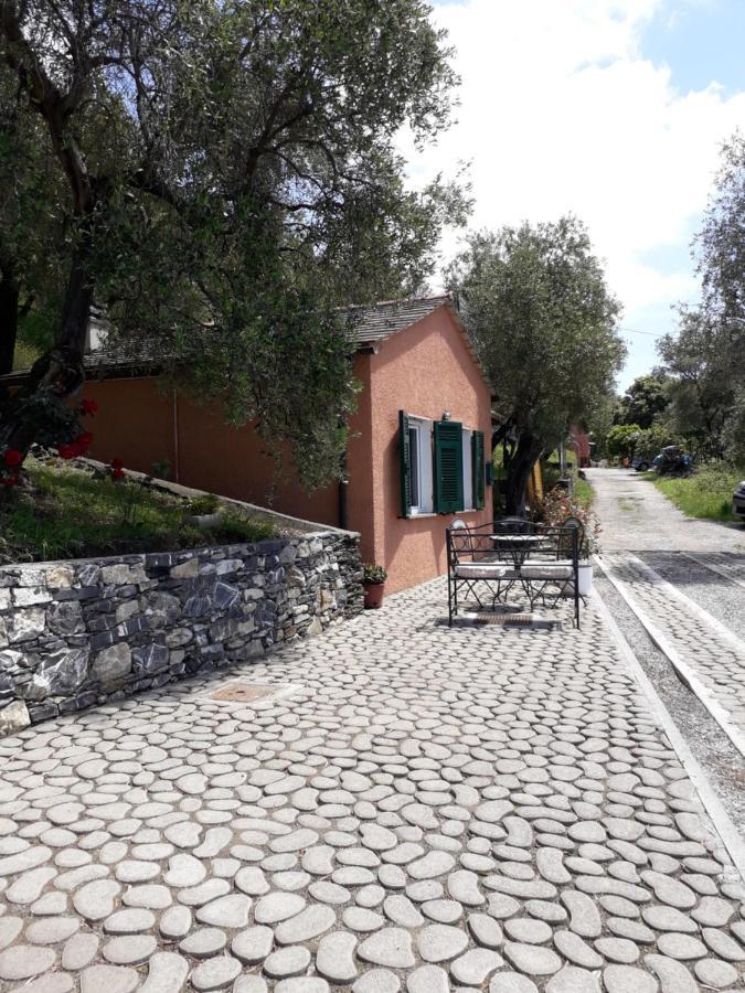Tigullio Vacations Panoramica Apartments Lavagna Εξωτερικό φωτογραφία