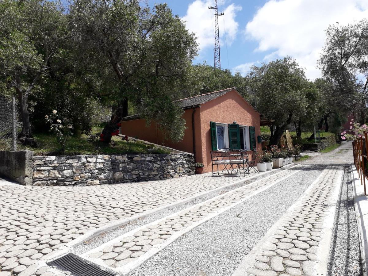 Tigullio Vacations Panoramica Apartments Lavagna Εξωτερικό φωτογραφία