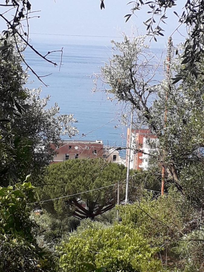 Tigullio Vacations Panoramica Apartments Lavagna Εξωτερικό φωτογραφία