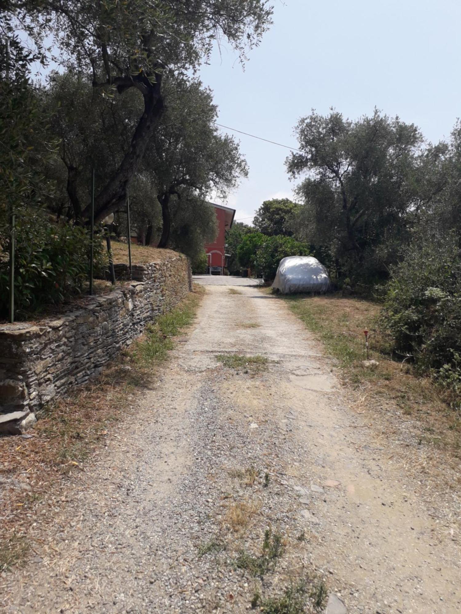 Tigullio Vacations Panoramica Apartments Lavagna Εξωτερικό φωτογραφία