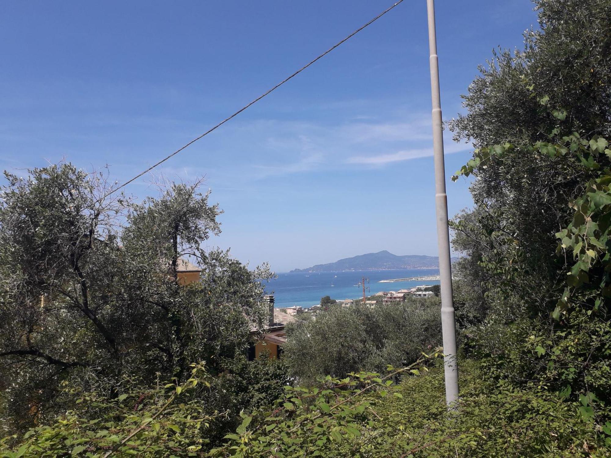 Tigullio Vacations Panoramica Apartments Lavagna Εξωτερικό φωτογραφία