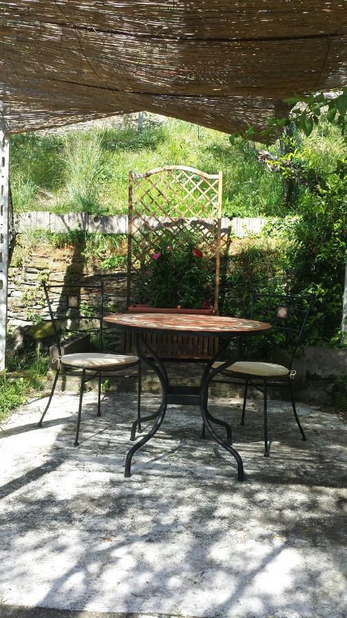 Tigullio Vacations Panoramica Apartments Lavagna Εξωτερικό φωτογραφία